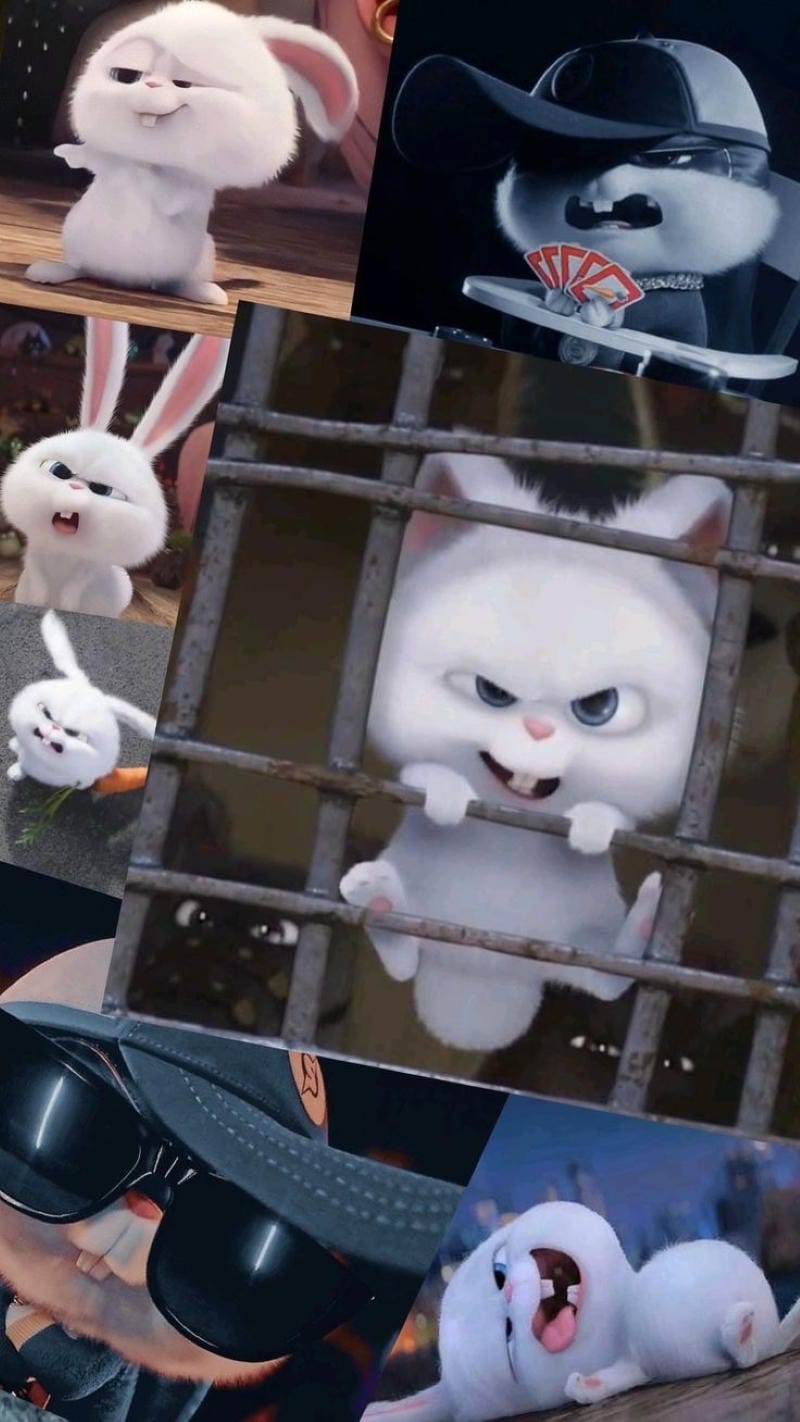 hinh-nen-snowball (26)