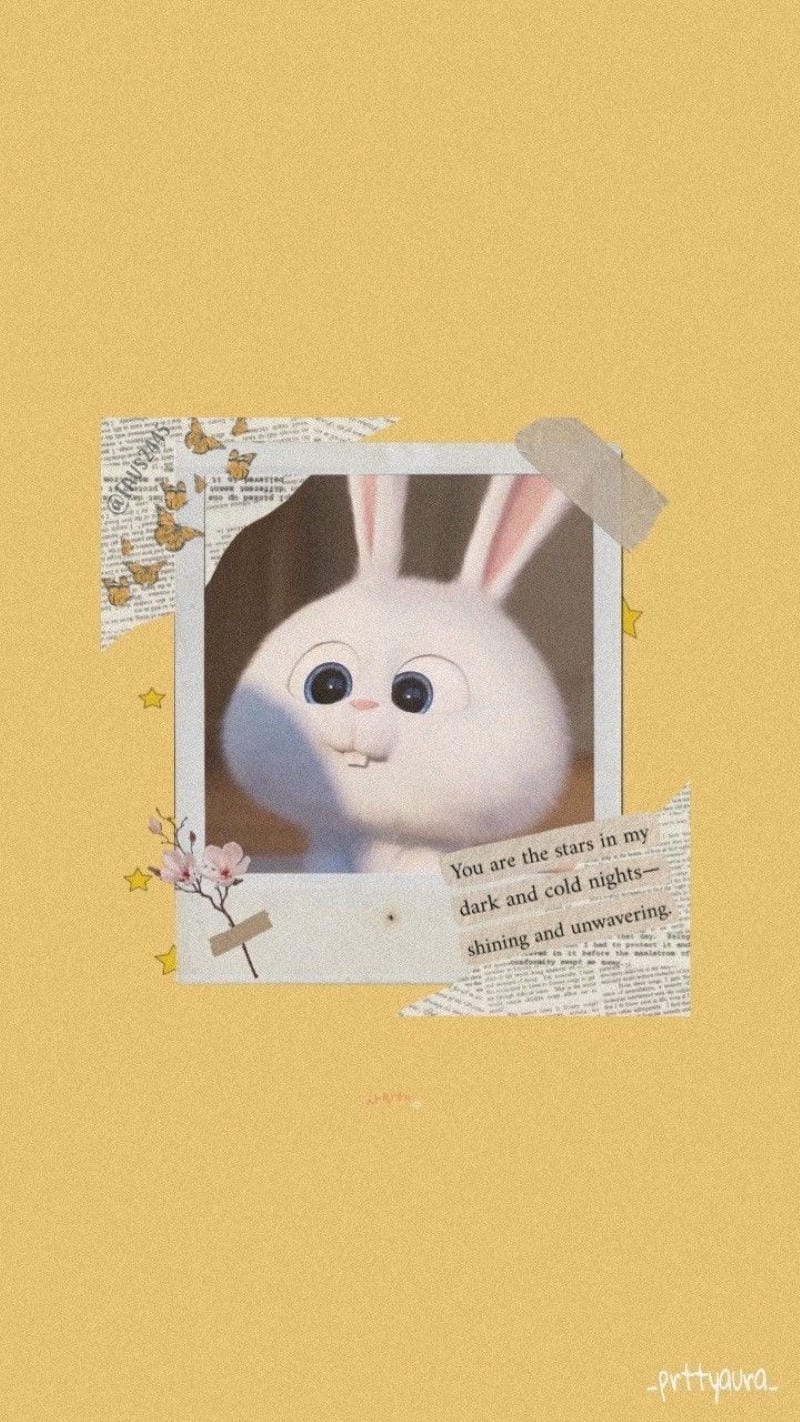 hinh-nen-snowball (27)