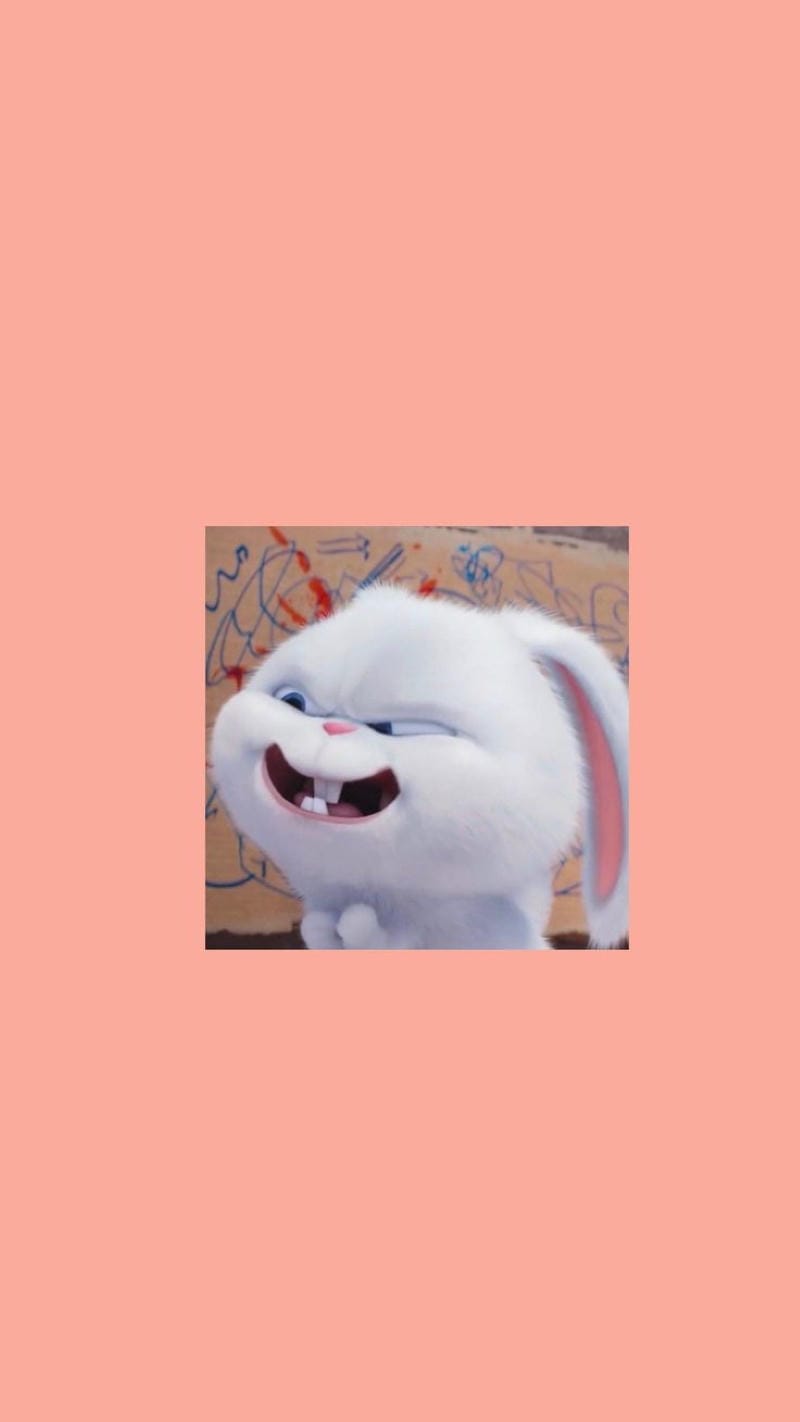 hinh-nen-snowball (29)