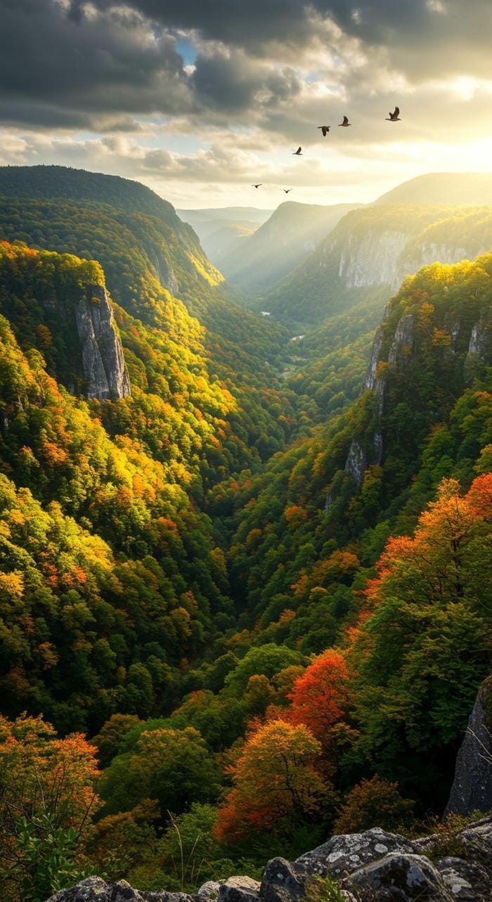 hinh-nen-thien-nhien-hoang-da (28)