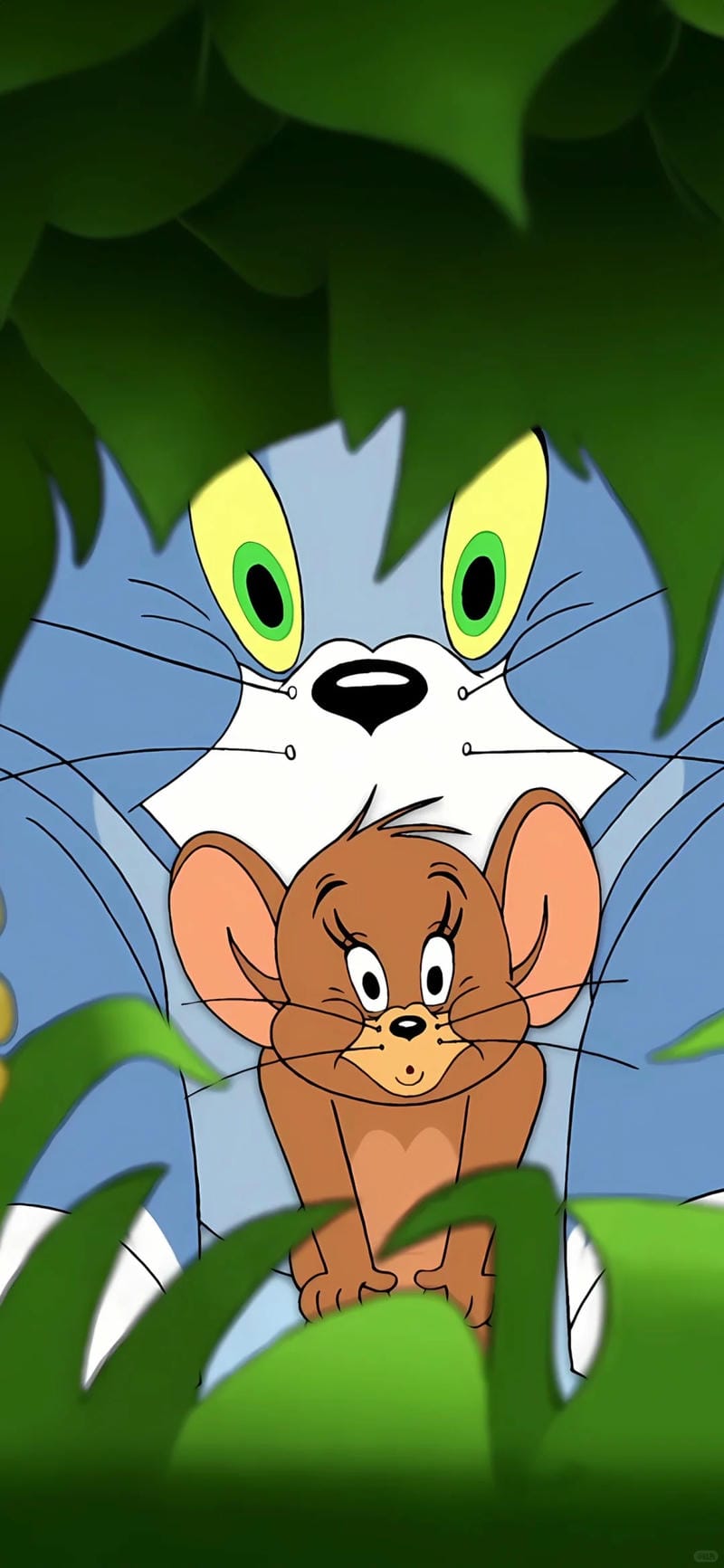 hinh-nen-tom-and-jerry (33)