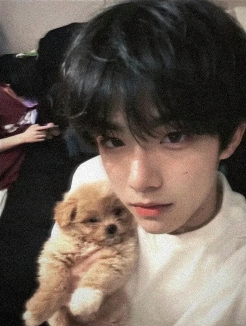 hinh-nen-trai-dep (26)