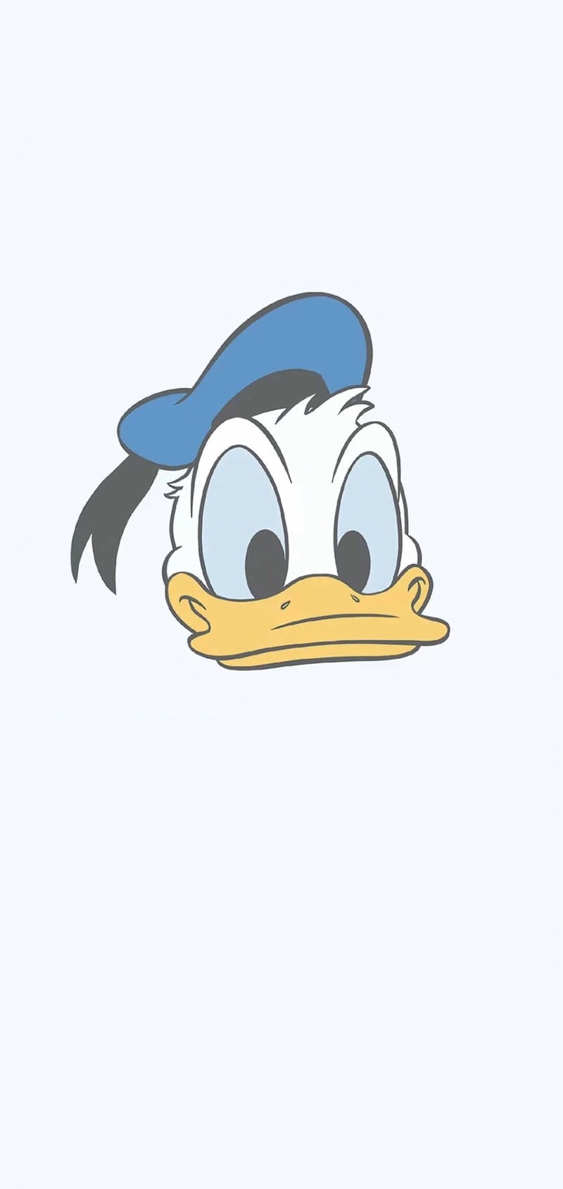 hinh-nen-vit-donald (39)