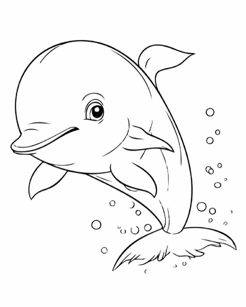 tranh-to-mau-ca-heo (8)