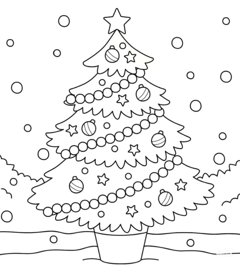 tranh-to-mau-cay-thong (27)