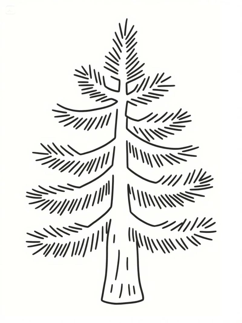 tranh-to-mau-cay-thong (46)