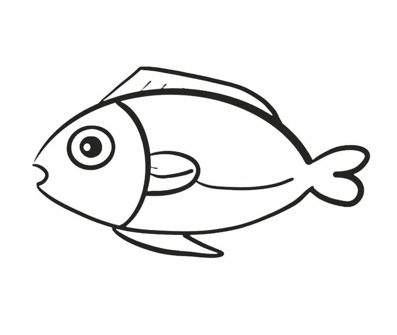 100+ Tranh tô màu con cá cute, hình rõ nét giúp bé phát triển tư duy màu sắc