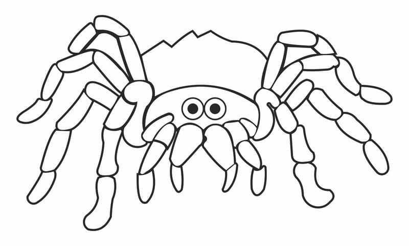 tranh-to-mau-con-nhen (11)