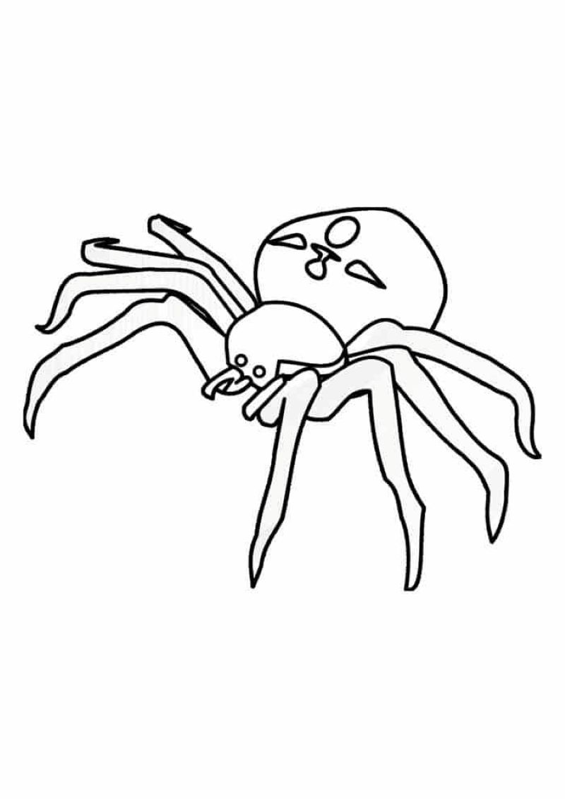 tranh-to-mau-con-nhen (18)