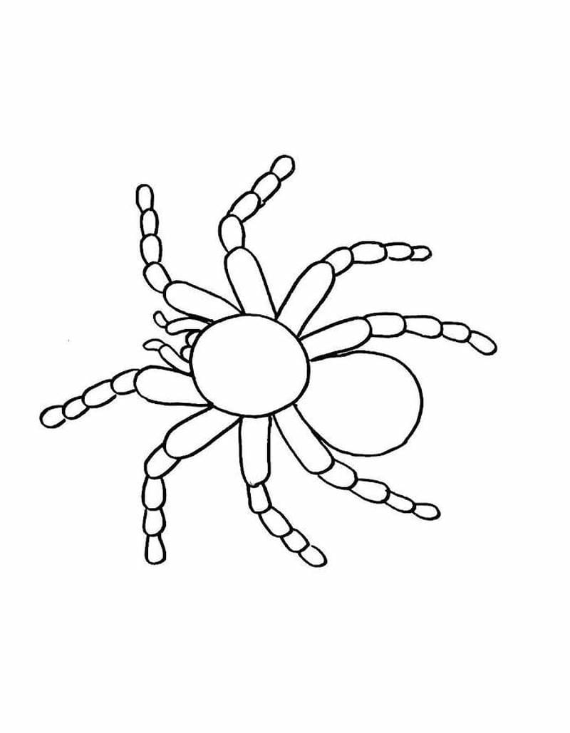 tranh-to-mau-con-nhen (22)