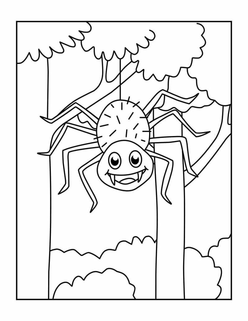 tranh-to-mau-con-nhen (26)