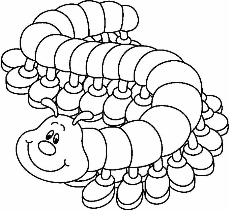 tranh-to-mau-con-sau (22)