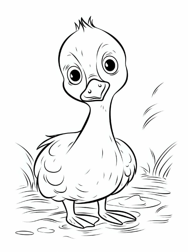 tranh-to-mau-con-vit (36)