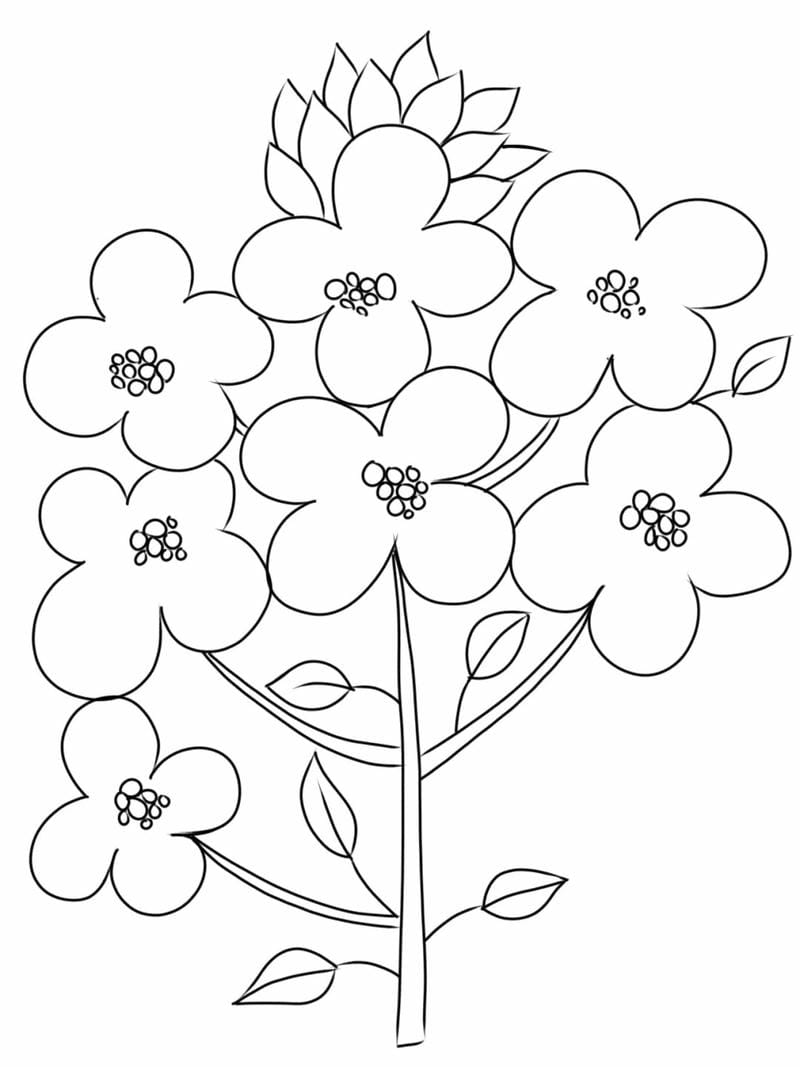 tranh-to-mau-hoa (14)