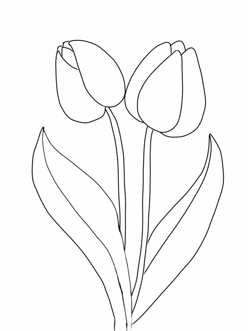 tranh-to-mau-hoa (16)