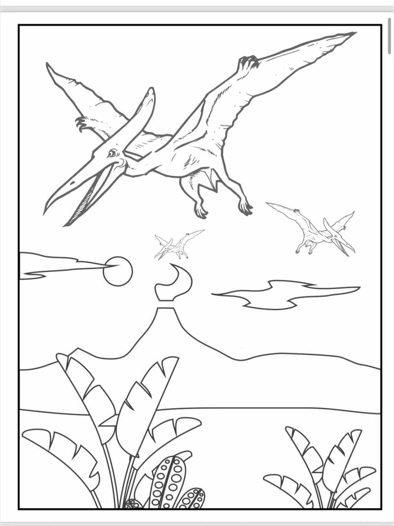 tranh-to-mau-khung-long (4)