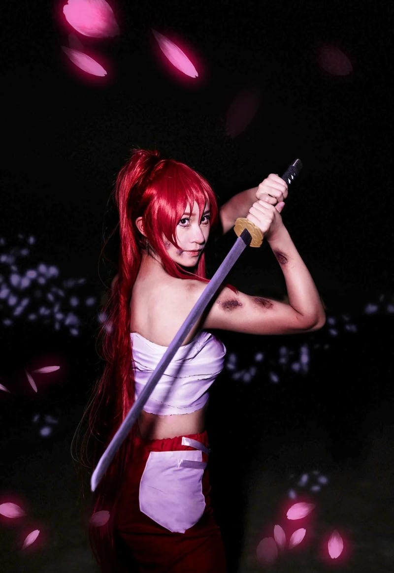 anh-cosplay-erza (15)