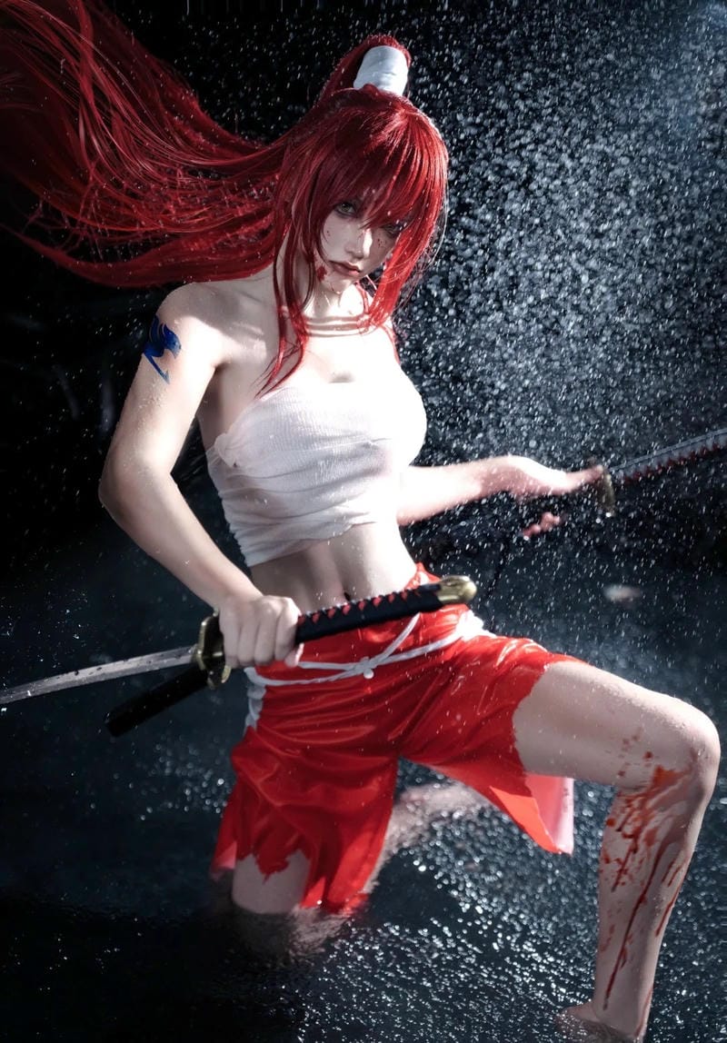 anh-cosplay-erza-scarlet (22)