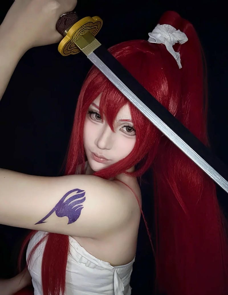 anh-cosplay-erza-scarlet (29)