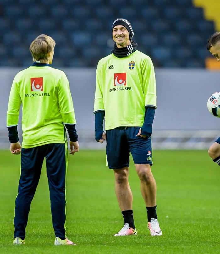 anh-emil-forsberg (21)