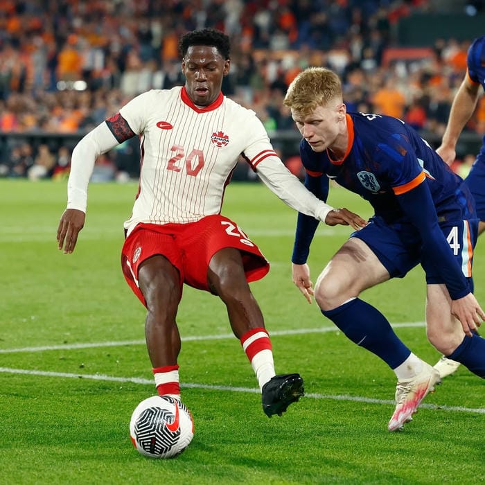 anh-jonathan-david (15)