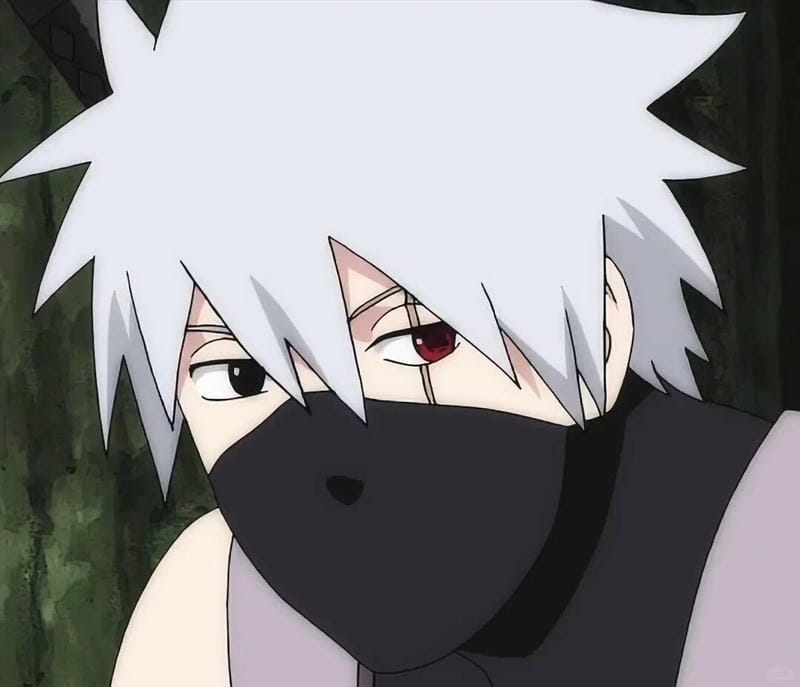 anh-kakashi (11)