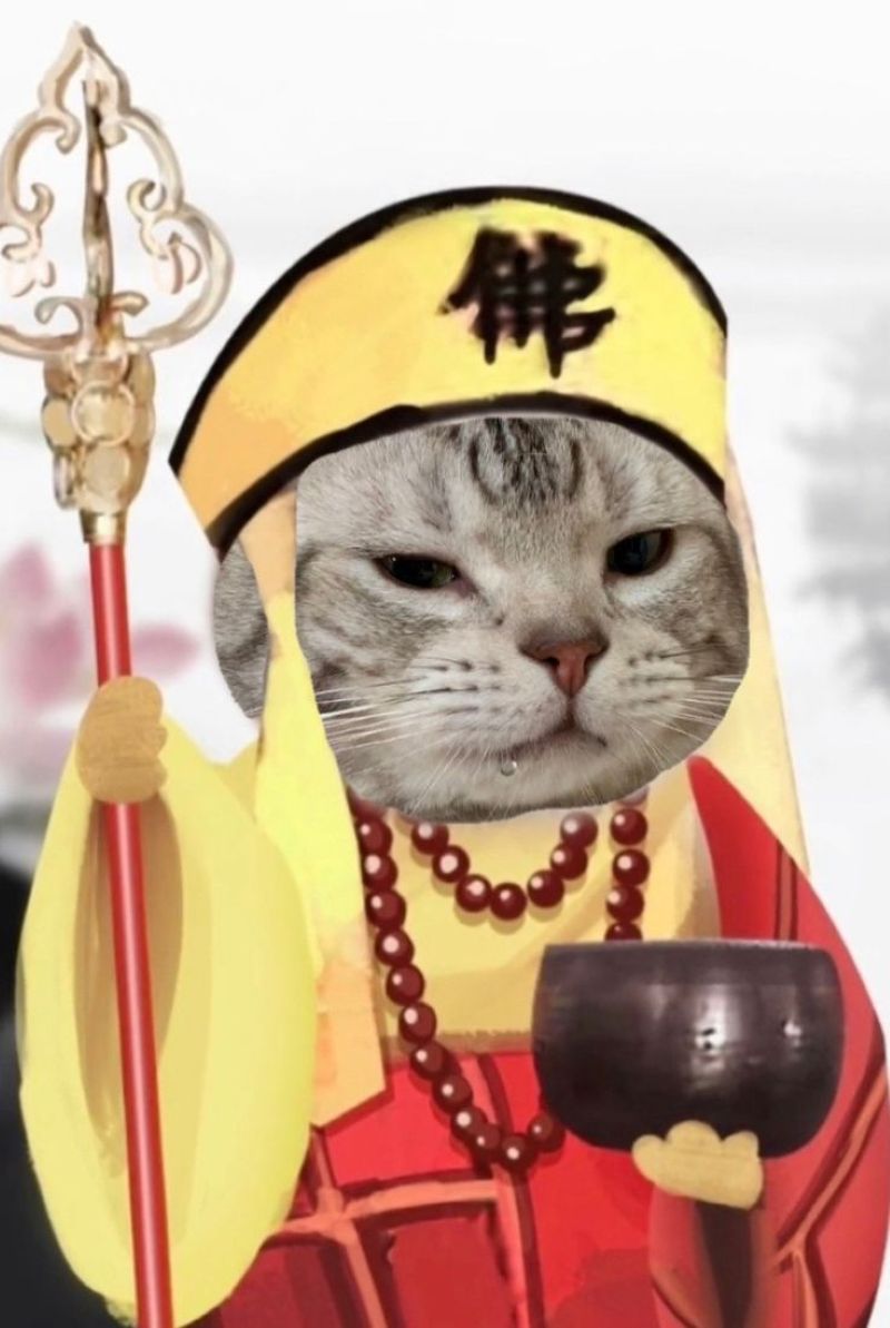 anh-meo-cosplay-anime (12)