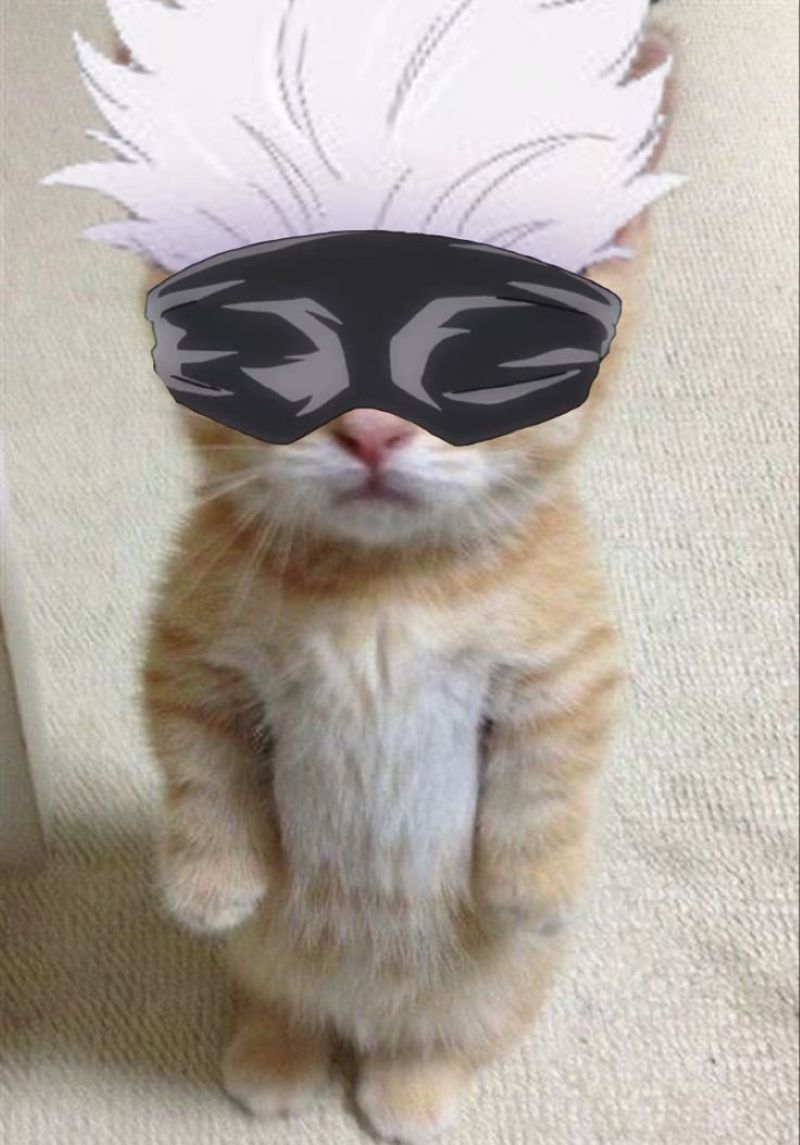 anh-meo-cosplay-anime (2)