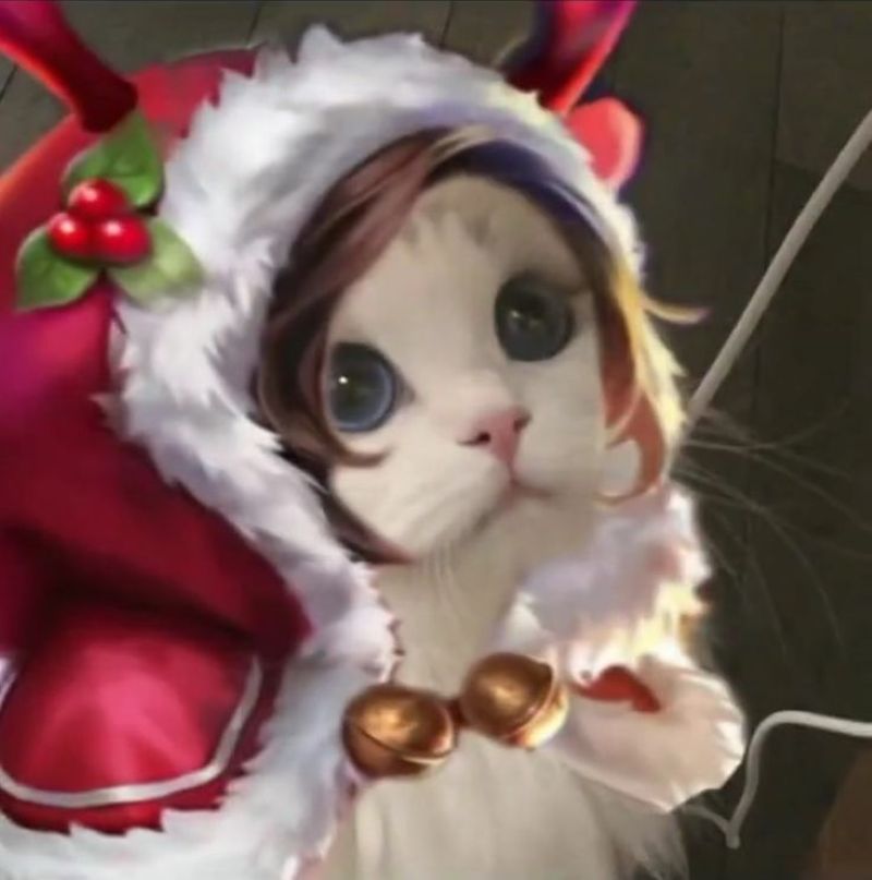 anh-meo-cosplay-anime-cute (1)