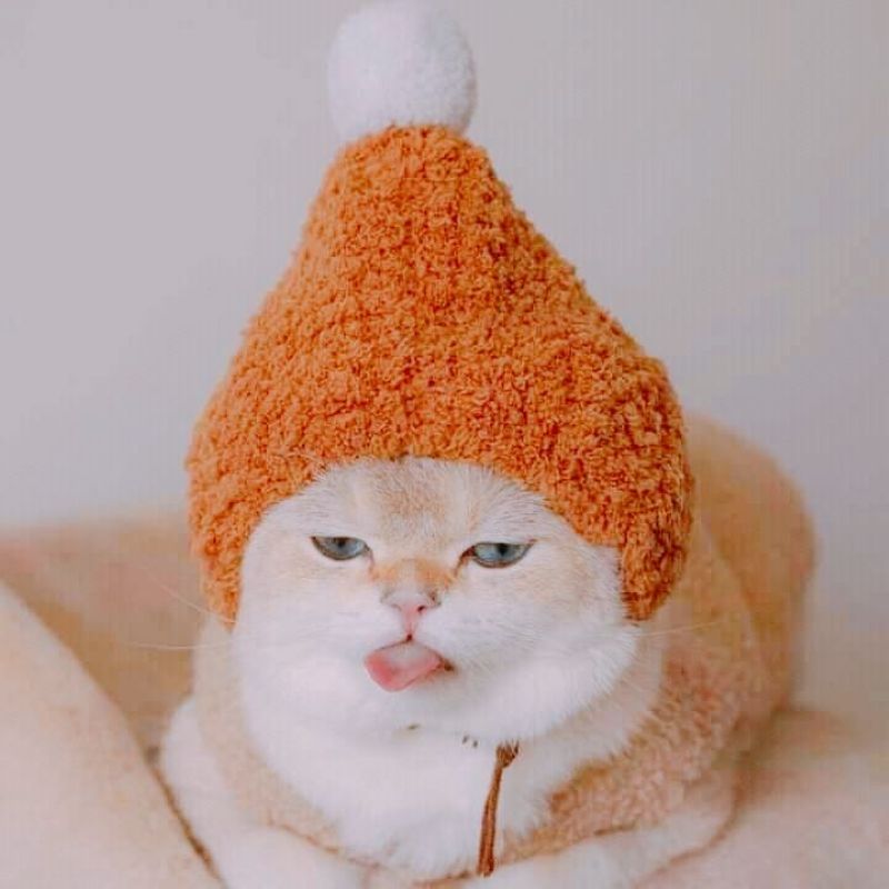 anh-meo-cosplay-anime-cute (10)