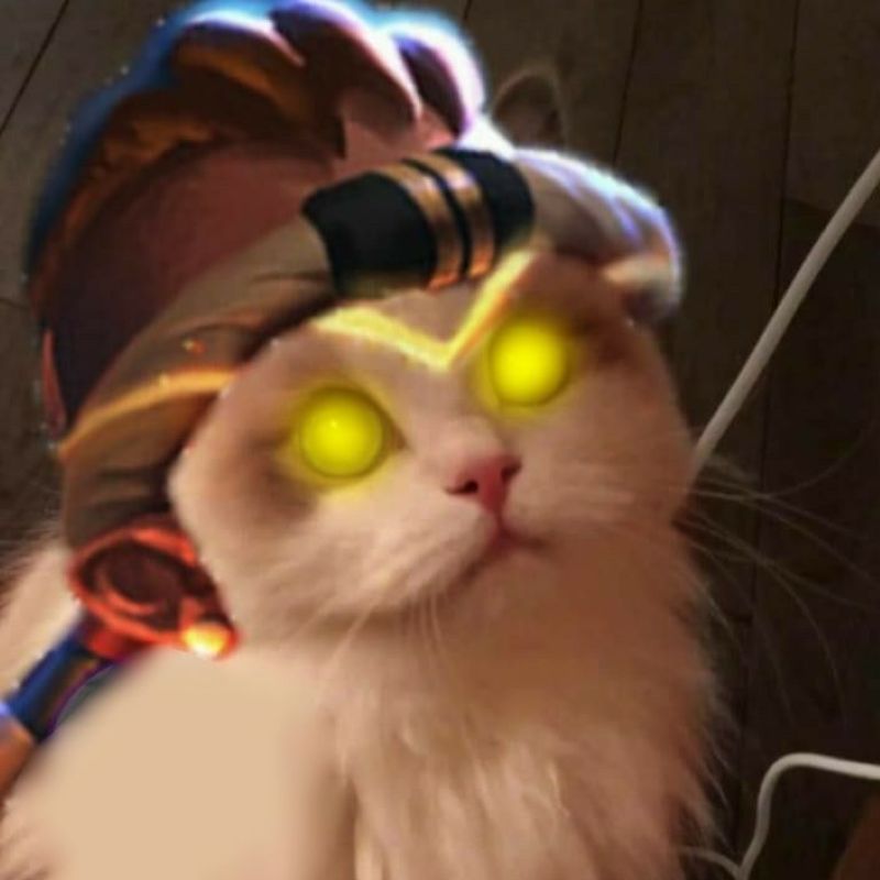 anh-meo-cosplay-anime-cute (11)