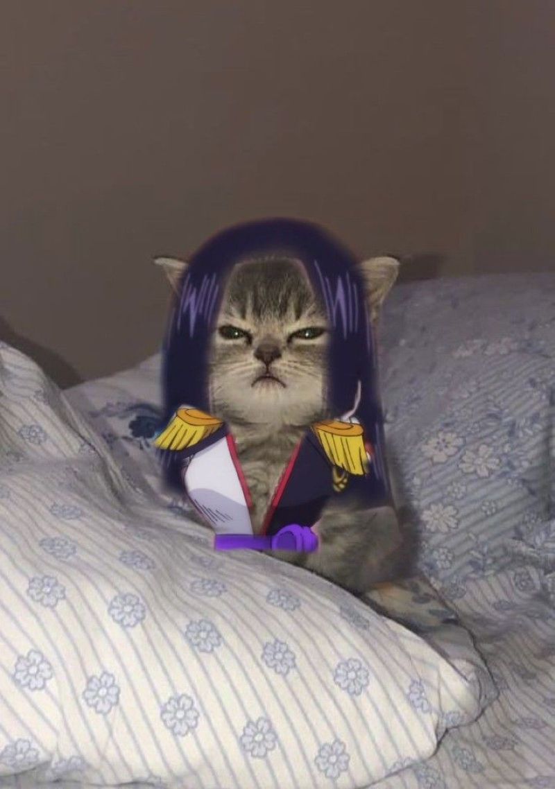 anh-meo-cosplay-anime-cute (15)