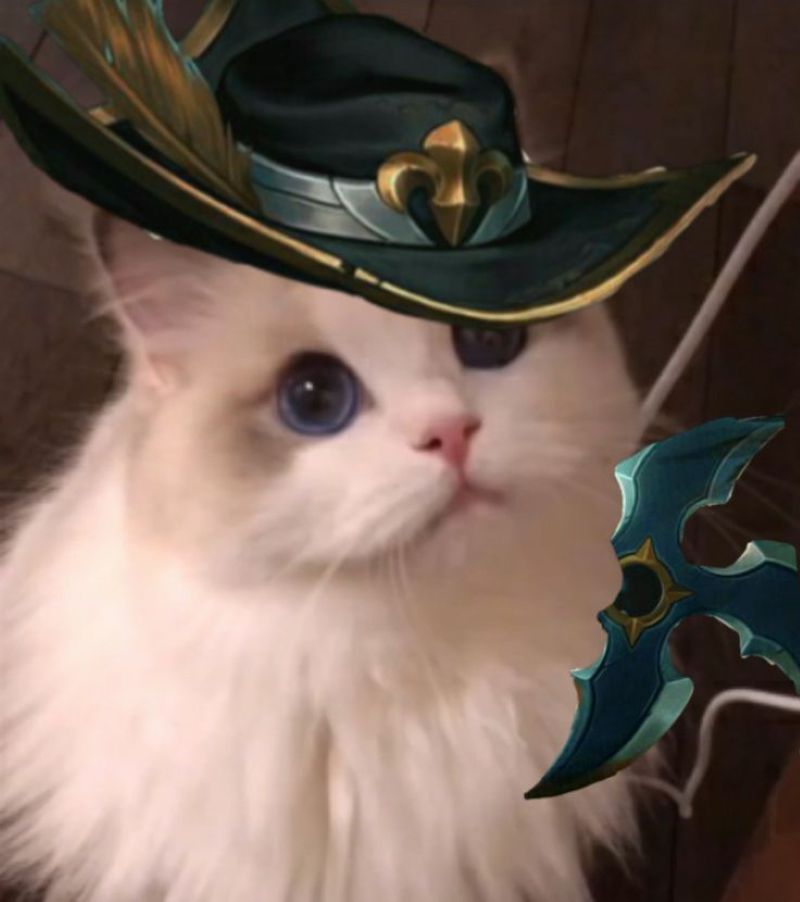 anh-meo-cosplay-anime-cute (16)