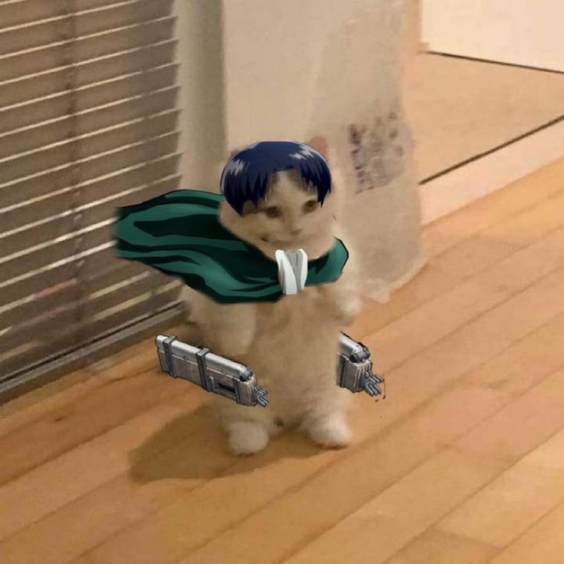 anh-meo-cosplay-anime-cute (18)