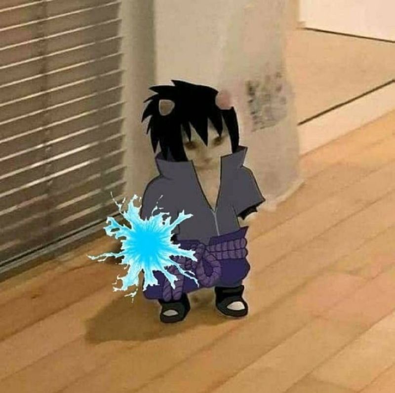 anh-meo-cosplay-anime-cute (23)