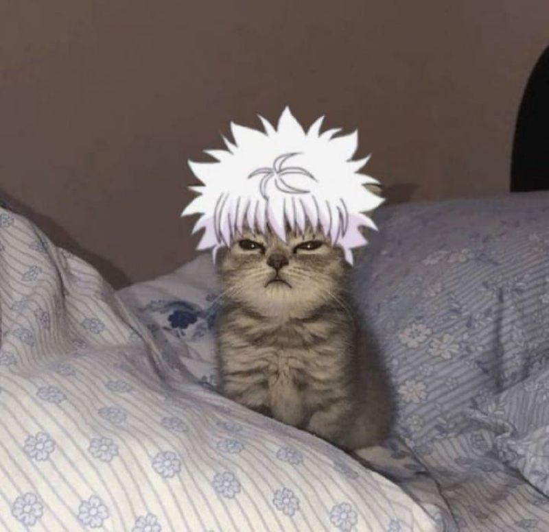 anh-meo-cosplay-anime-cute (25)