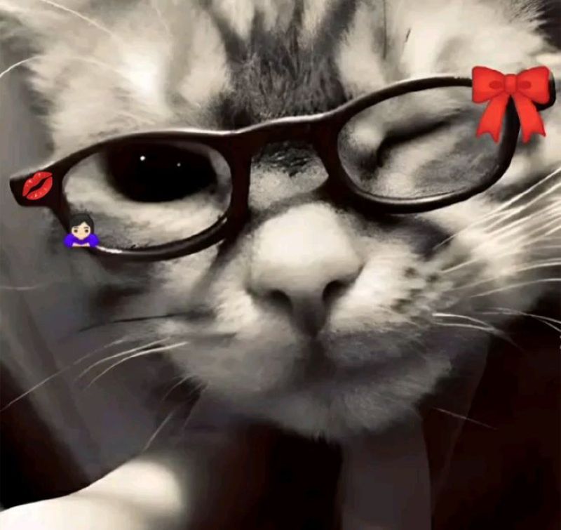 anh-meo-cosplay-anime-cute (7)