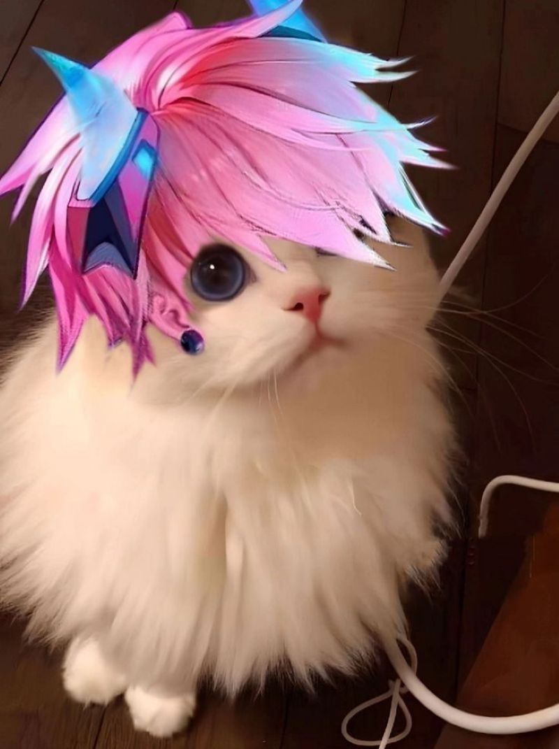 anh-meo-cosplay-anime-cute (8)