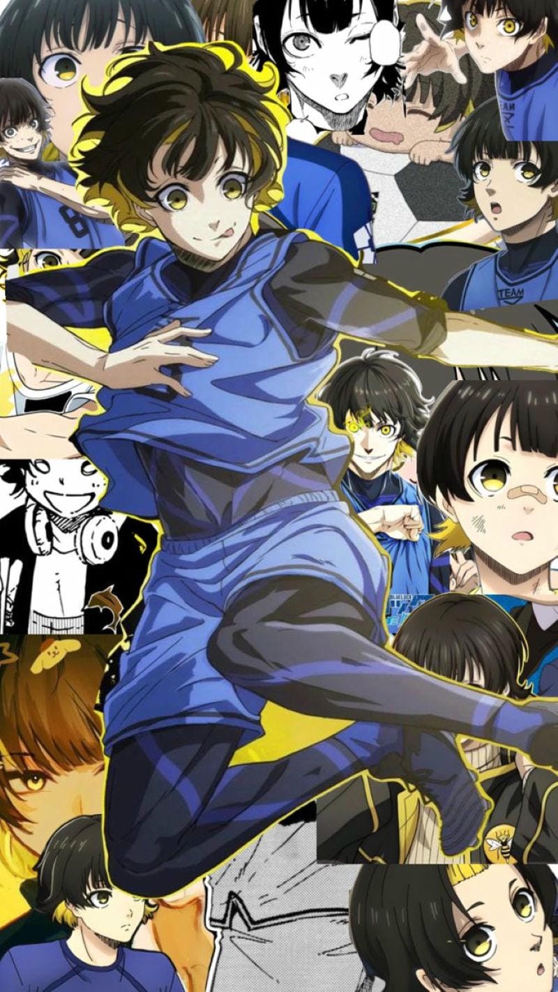 hinh-anh-bachira (17)