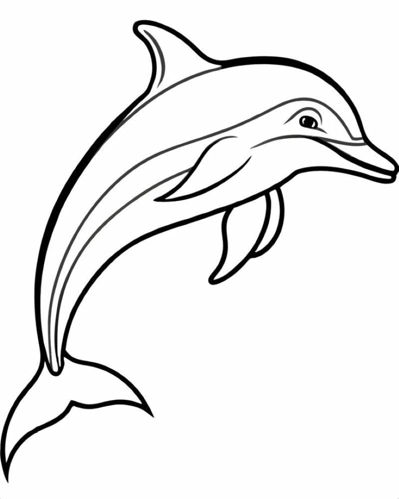 tranh-to-mau-ca-heo-dep (30)