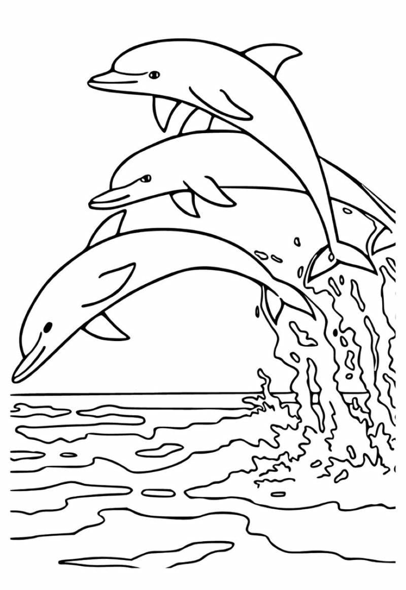 tranh-to-mau-ca-heo-dep (36)