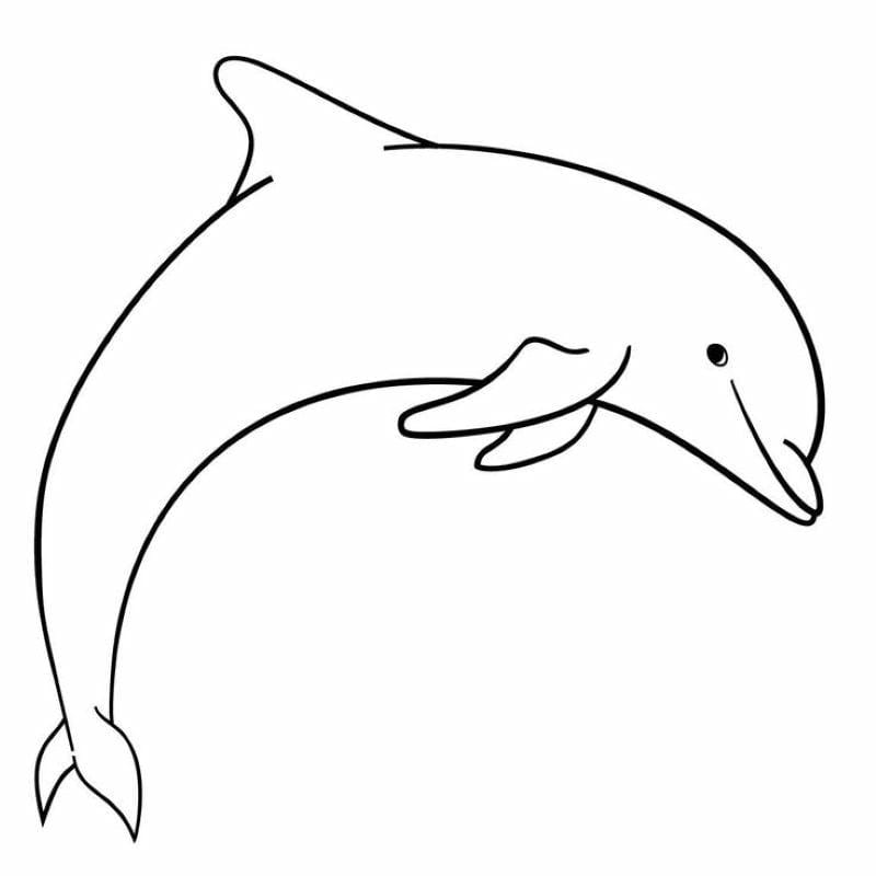 tranh-to-mau-ca-heo-dep (40)