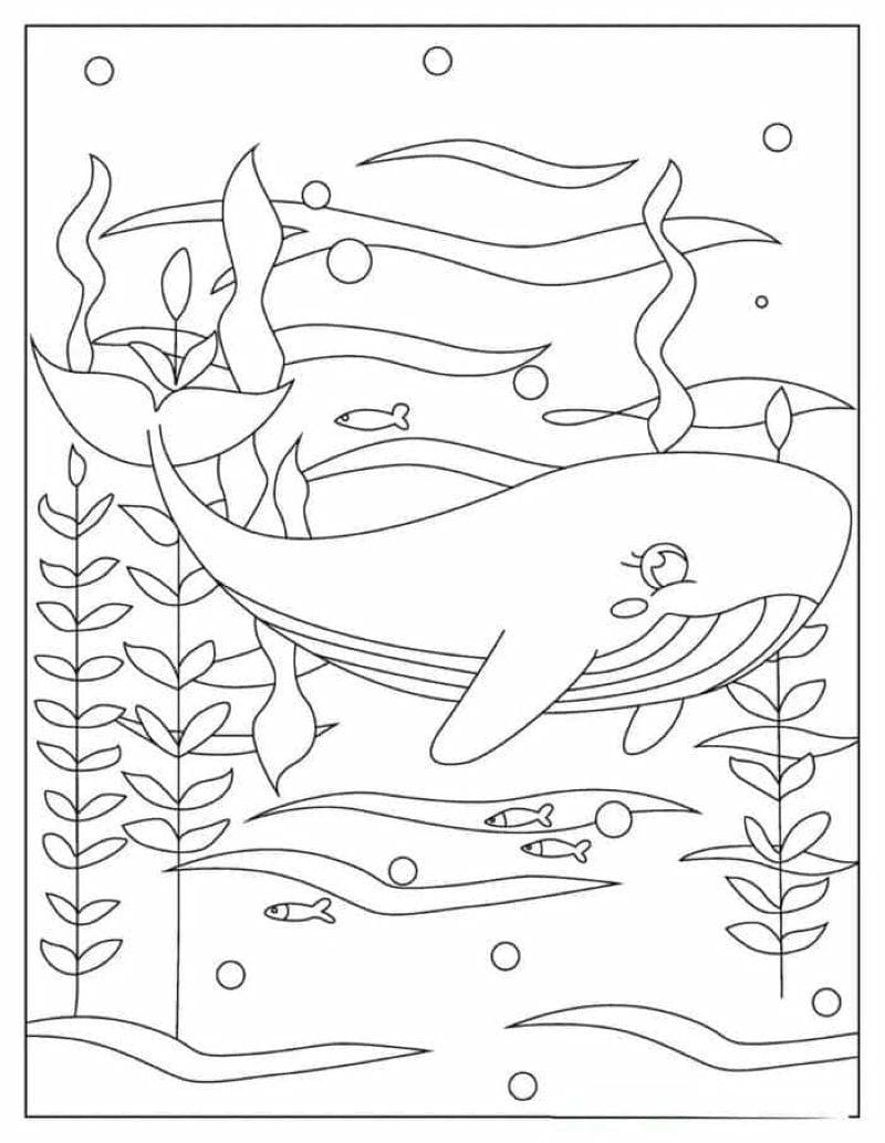 tranh-to-mau-ca-voi-bien (4)