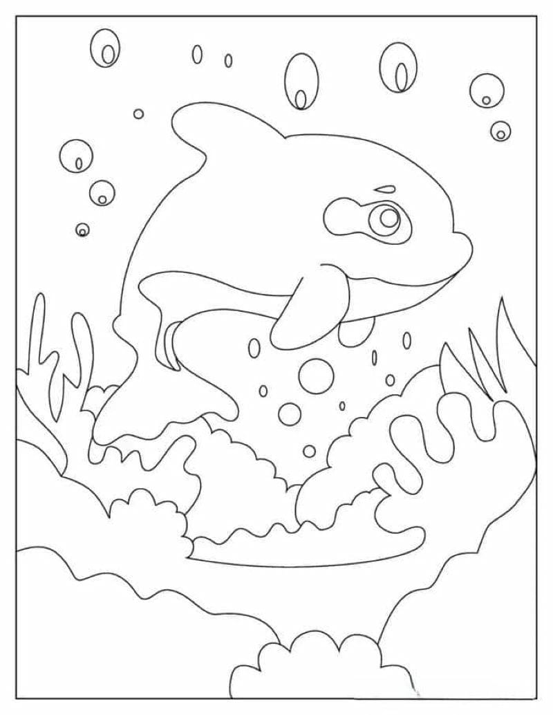 tranh-to-mau-ca-voi-bien (7)