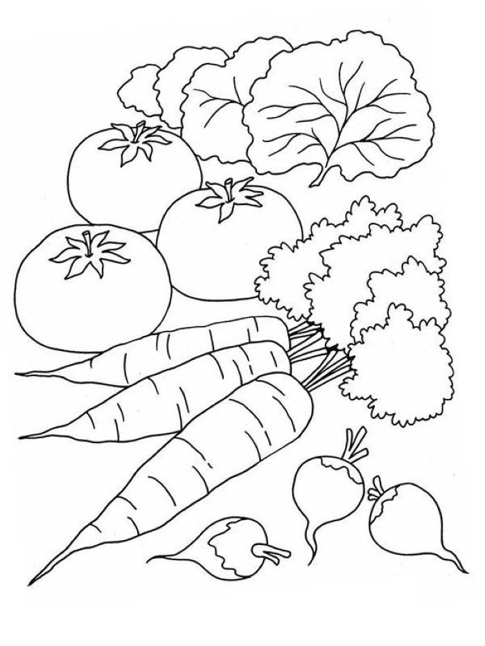 tranh-to-mau-cac-loai-rau-cu (1)