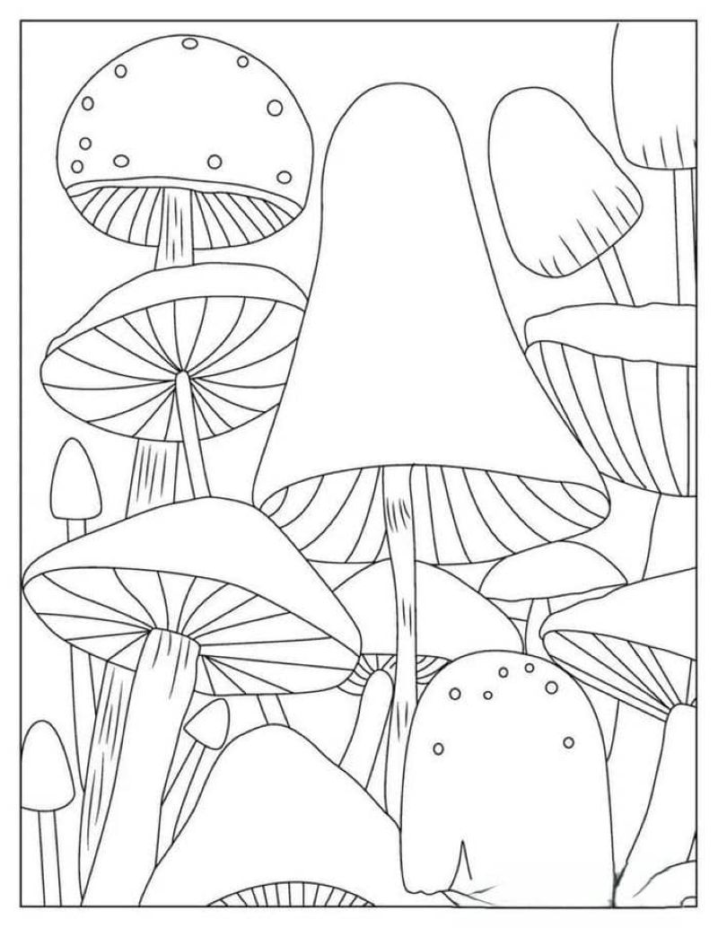 tranh-to-mau-cay-nam-dep (14)