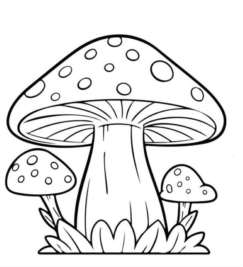 tranh-to-mau-cay-nam-dep (16)