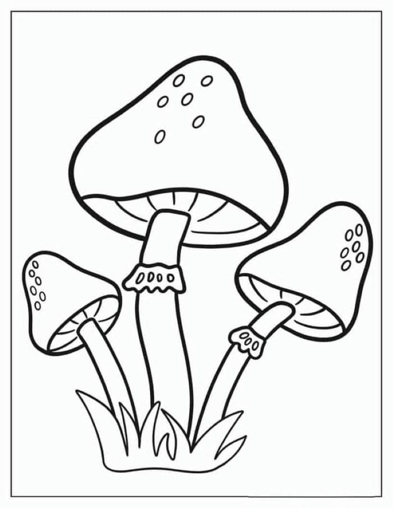 tranh-to-mau-cay-nam-dep (23)