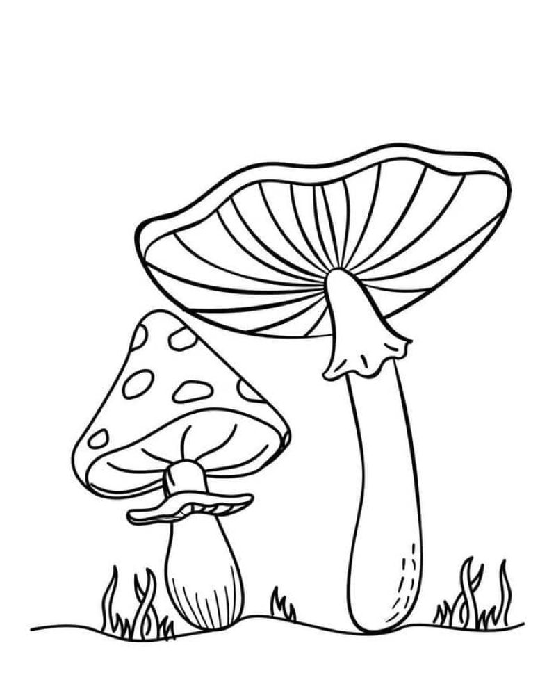 tranh-to-mau-cay-nam-dep (37)