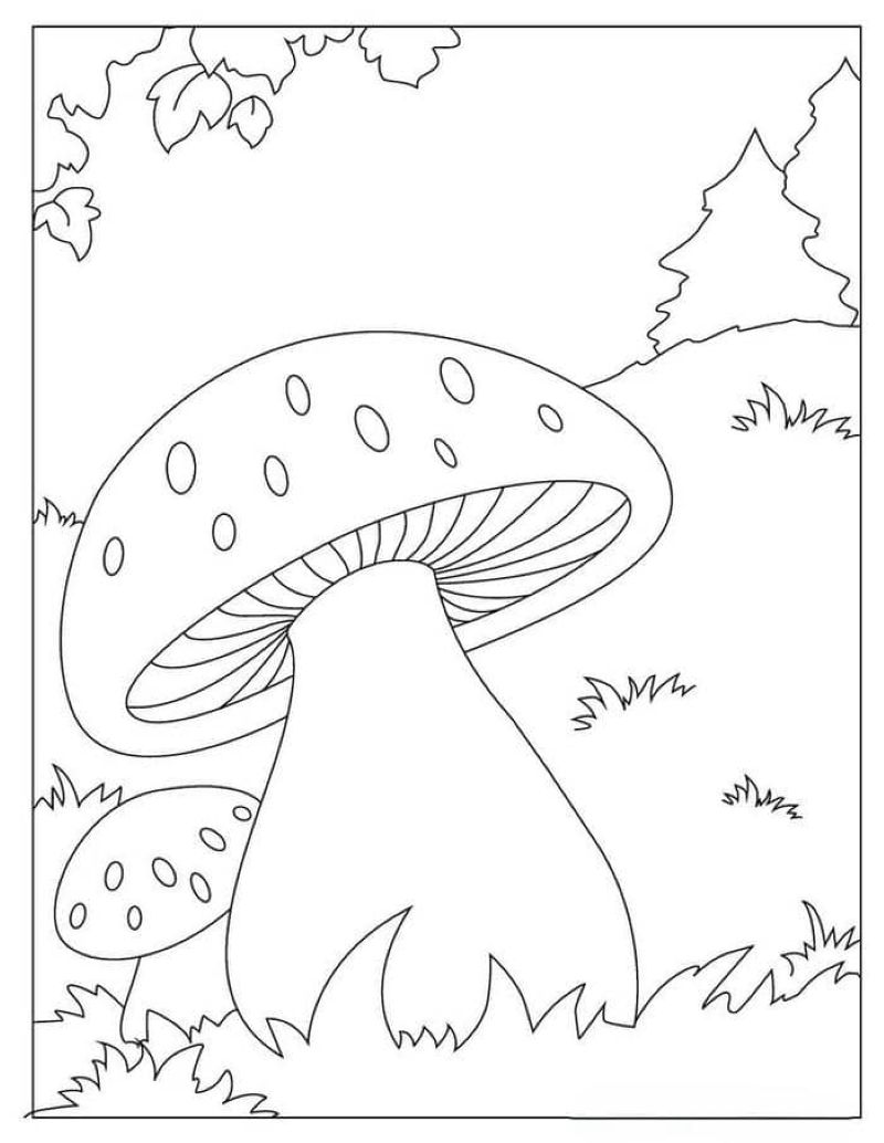 tranh-to-mau-cay-nam-dep (7)